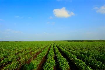 星空体育APP:湖南攸县：共育共创共建赋能村庄复兴